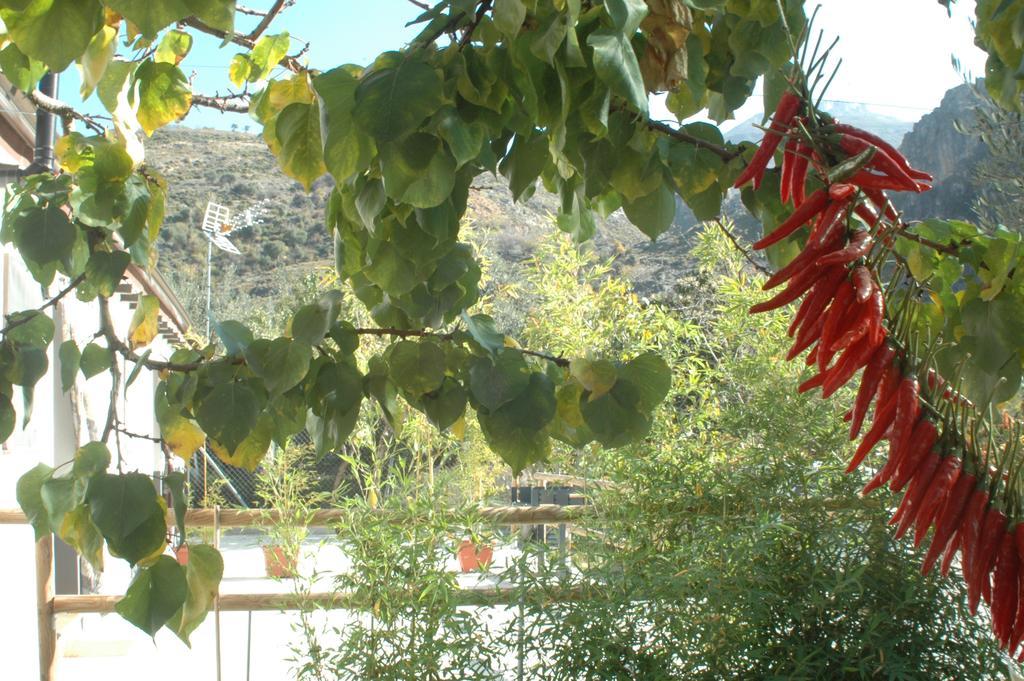 מונאצ'יל Cortijo Los Cahorros Sierra Nevada מראה חיצוני תמונה